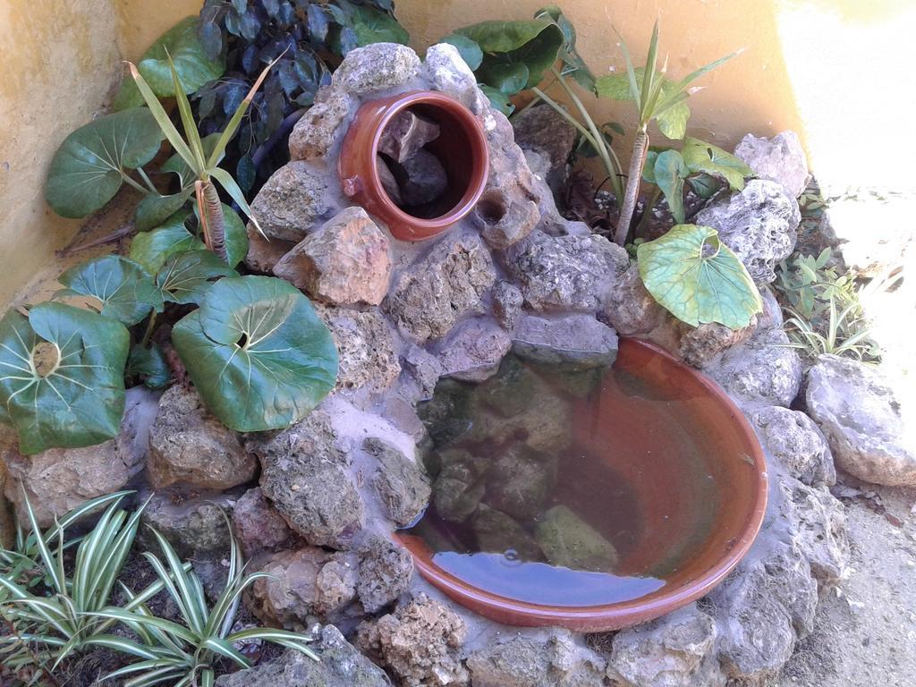 La Morera, El Palmar 埃尔帕尔马 客房 照片